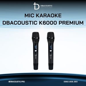 Mic không dây DBACOUSTIC K6000 PREMIUM - Ảnh 4