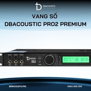 Vang số karaoke cao cấp DBACOUSTIC PRO2 PREMIUM - Ảnh 6