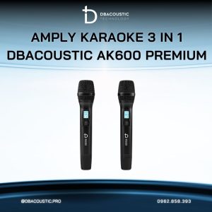 Amply karaoke 3 in 1 DBACOUSTIC AK600 PREMIUM - Ảnh 3