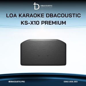 Loa karaoke DBACOUSTIC KS-X10 PREMIUM - Ảnh 4