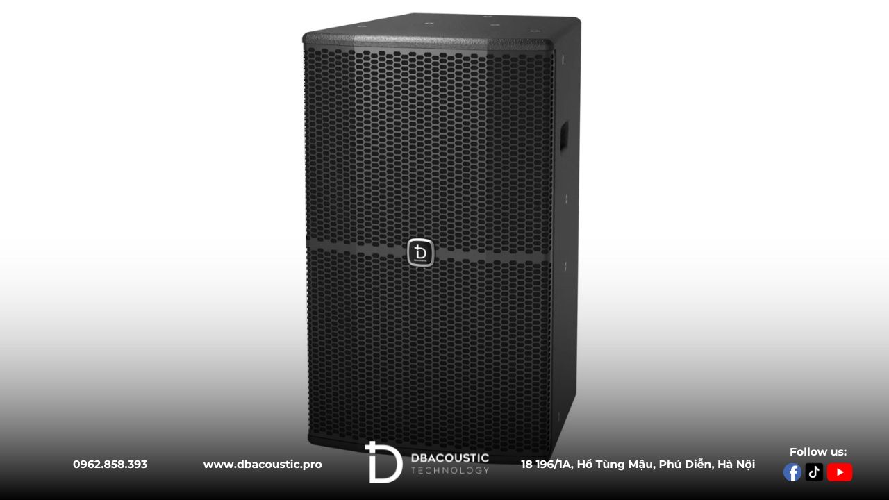 Loa karaoke DBAcoustic KS312 G2 sở hữu công suất ấn tượng