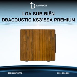 Loa sub điện karaoke DBACOUSTIC KS315SA PREMIUM - Ảnh 6