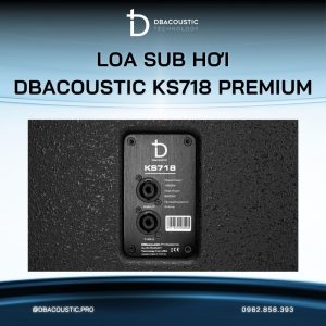 Loa sub hơi karaoke DBACOUSTIC KS718 PREMIUM - Ảnh 8