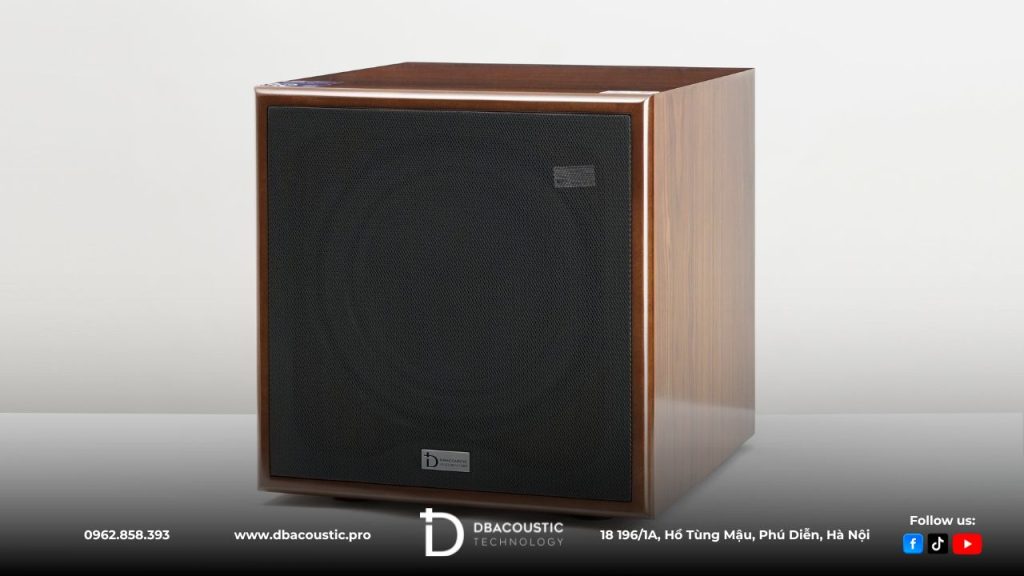 Loa Sub DBAcoustic KS312SA có ngoại hình rất ấn tượng.