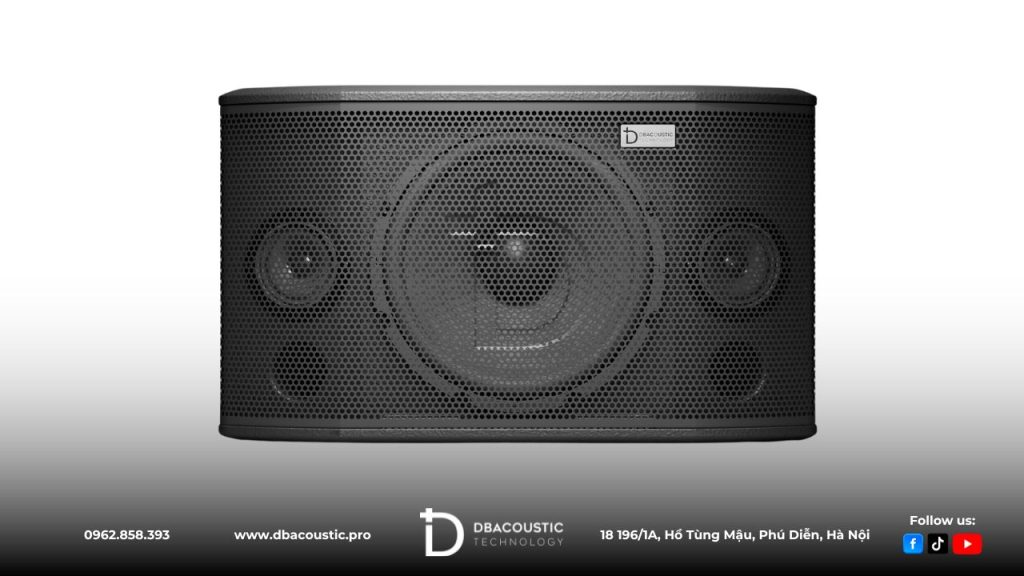 Bộ dàn karaoke DBacoustic KSX10 với nền tảng là loa nằm KSX10