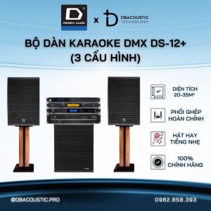 Dàn Karaoke DMX DS-12+ (Loa full bass 30, âm khoẻ, tiếng gọn, hát cực mê)