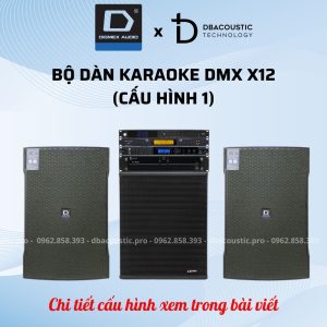 Alternative view of Dàn karaoke DMX X12 (4 cấu hình, công suất khủng, bền đẹp hát hay)