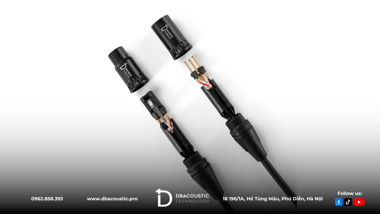 Dây Canon XLR DBJ-10C sử dụng chất liệu đồng OFC nguyên chất, đầu mạ vàng 24K