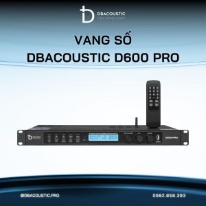Vang Số DBacoustic D600 PRO (chống hú 3 cấp, chip DSP D từ Mỹ, âm hay tiếng nuột) - Ảnh 3