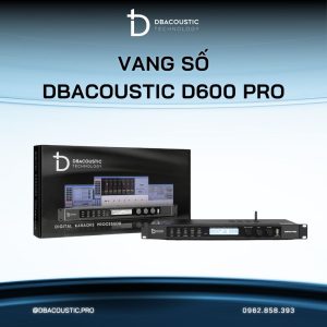 Vang Số DBacoustic D600 PRO (chống hú 3 cấp, chip DSP D từ Mỹ, âm hay tiếng nuột) - Ảnh 6