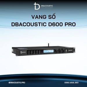 Vang Số DBacoustic D600 PRO (chống hú 3 cấp, chip DSP D từ Mỹ, âm hay tiếng nuột) - Ảnh 4