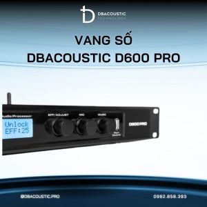 Vang Số DBacoustic D600 PRO (chống hú 3 cấp, chip DSP D từ Mỹ, âm hay tiếng nuột) - Ảnh 5
